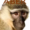 Aber> Sale