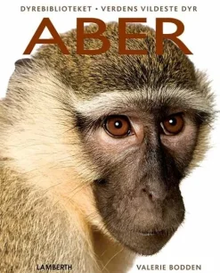 Aber> Sale