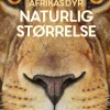 Afrikas dyr - i naturlig størrelse> Outlet