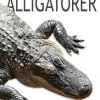 Alligatorer> Best