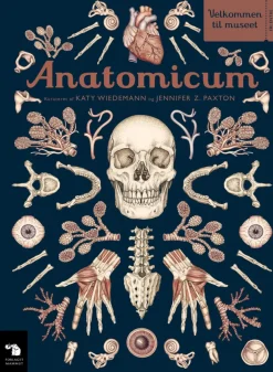 Anatomicum> Hot