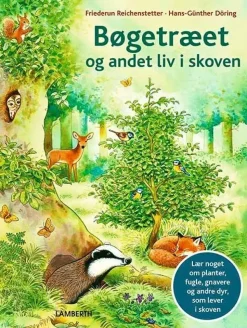 Bøgetræet og andet liv i skoven> Clearance