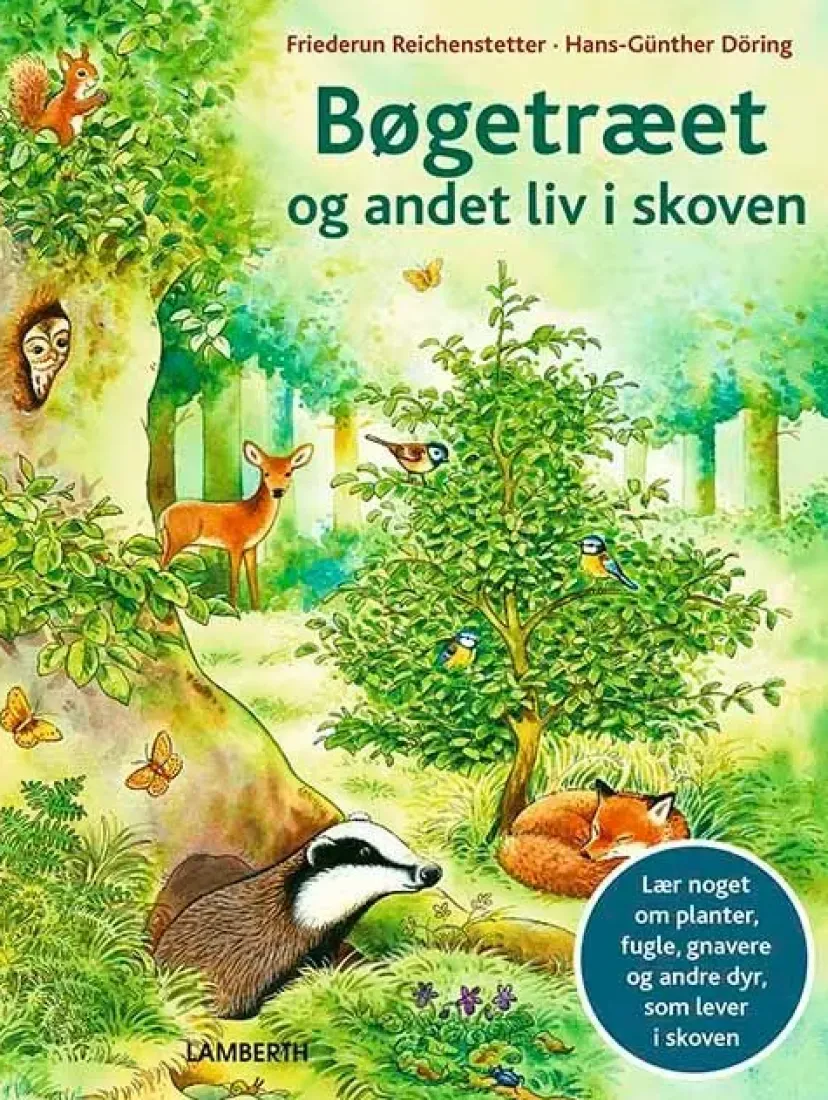Bøgetræet og andet liv i skoven> Clearance