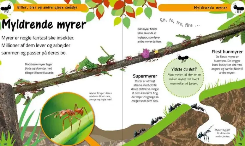Biller, bier og andre sjove smådyr> Online