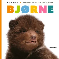 Bjørne> Outlet
