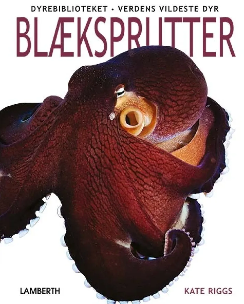 Blæksprutter> Discount