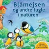 Blåmejsen og andre fugle i naturen> Outlet