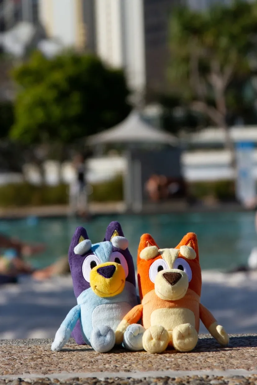 Bamse ass>Bluey Sale