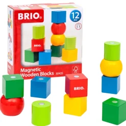 30435 Magnetiske træklodser>Brio Discount