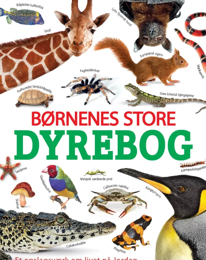 Børnenes store dyrebog> Outlet