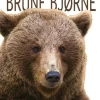 Brune bjørne> Clearance