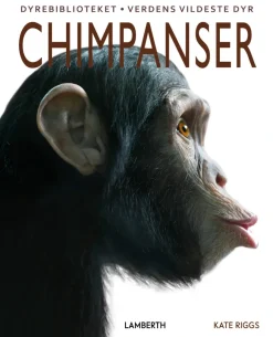 Chimpanser> Outlet