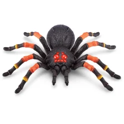 Creepy Crawly Pack><noscript><img width=