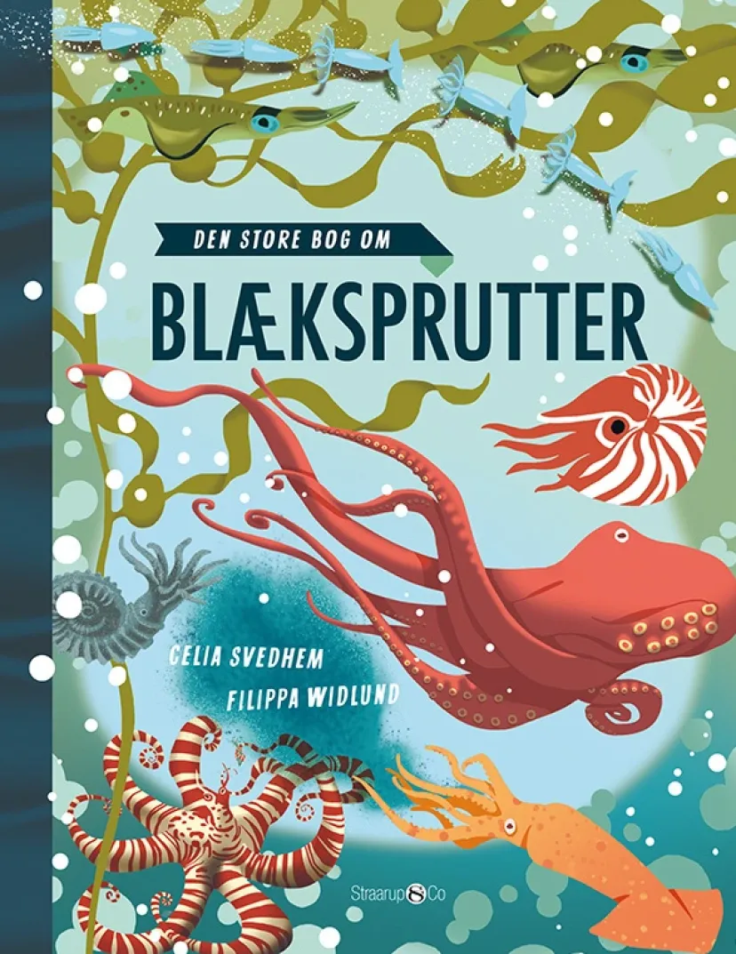 Den store bog om blæksprutter> Sale