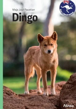 Dingo, Grøn Fagklub> New