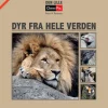 Dyr fra hele verden> New