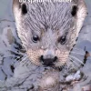 DYR I DANSK NATUR> New