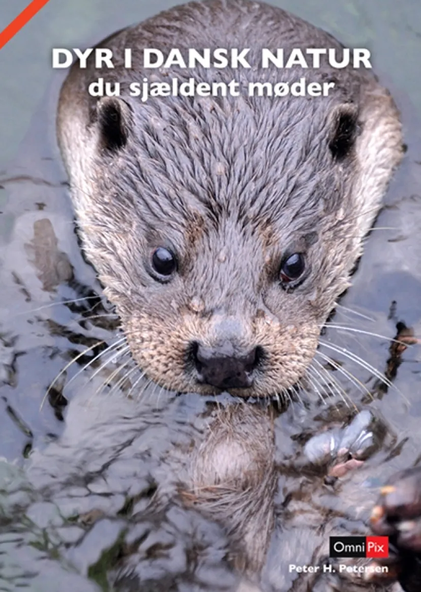 DYR I DANSK NATUR> New
