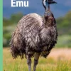 Emu, Grøn Fagklub> New
