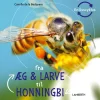 Fra æg og larve til honningbi> Hot