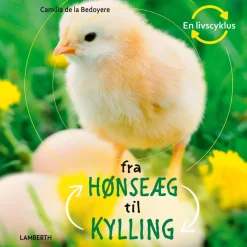 Fra hønseæg til kylling> New