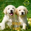 Fra hvalp til hund> Discount