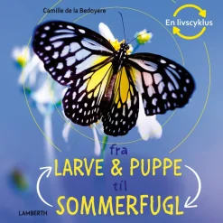Fra larve og puppe til sommerfugl> Sale