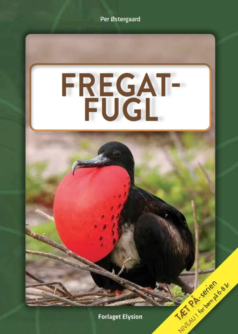Fregatfugl> New