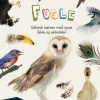 Fugle>