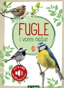 Fugle i vores natur> Hot