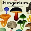 Fungarium> Clearance