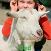Ged, Grøn Fagklub>