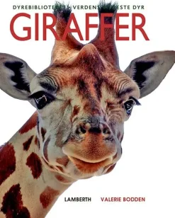 Giraffer> New