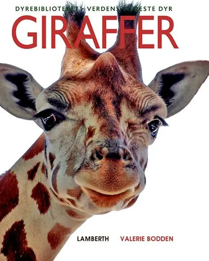 Giraffer> New