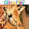 Giraffer> New