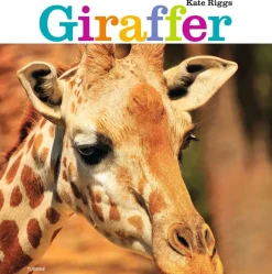 Giraffer> New