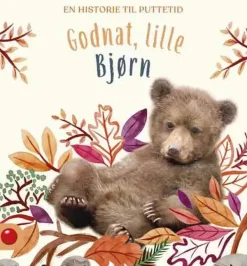 Godnat, lille Bjørn>