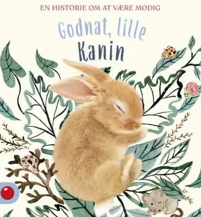 Godnat, lille Kanin> Outlet