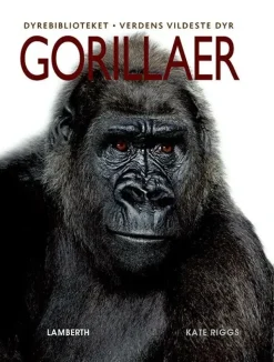 Gorillaer> Hot