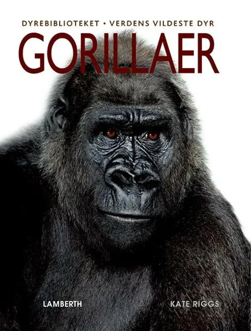 Gorillaer> Hot
