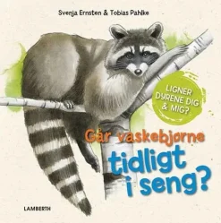 Går vaskebjørne tidligt i seng?> Sale