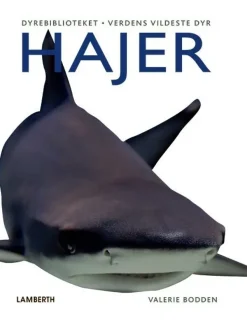 Hajer>