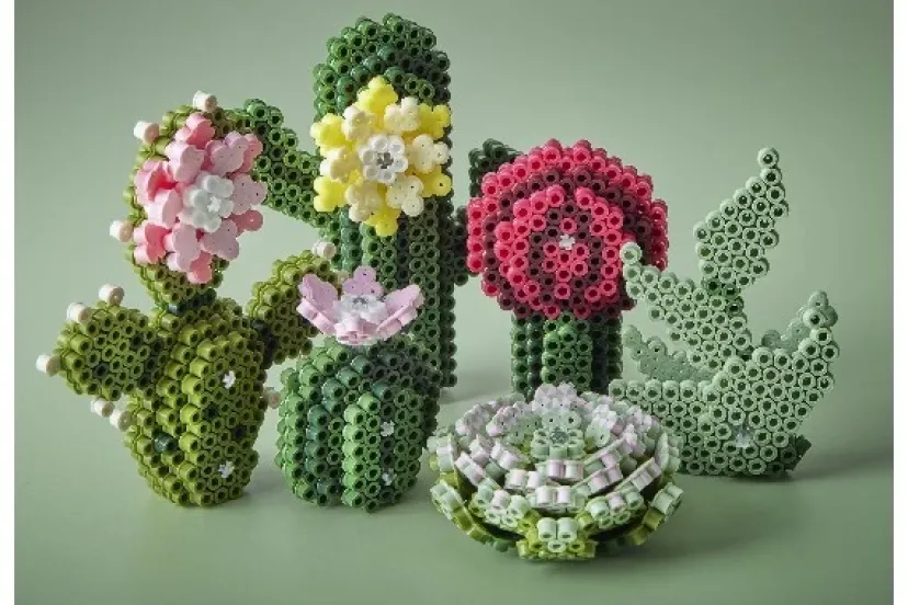 Art midi Sukkulenter>Hama New
