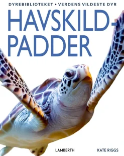Havskildpadder> Hot