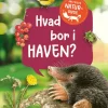 Hvad bor i haven?> Sale