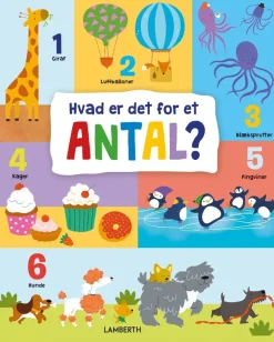 Hvad er det for et antal?>