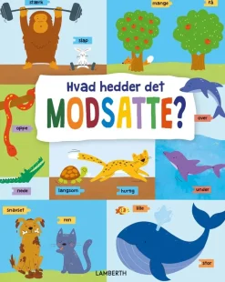 Hvad hedder det modsatte?> Outlet