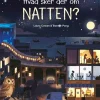 Hvad sker der om natten?> Best