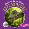 Hvad ved du om dinoen diplodocus?> Clearance