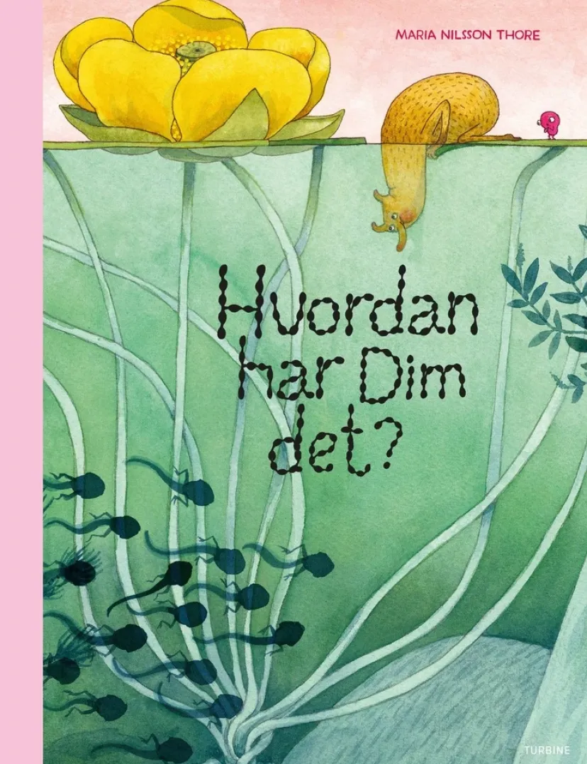Hvordan har Dim det?> New